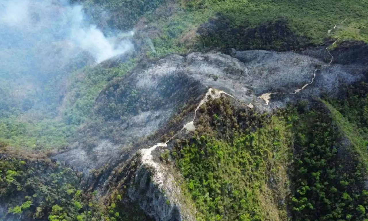 Emergencia en Providencia por incendio que amenaza el Parque Regional The Peak