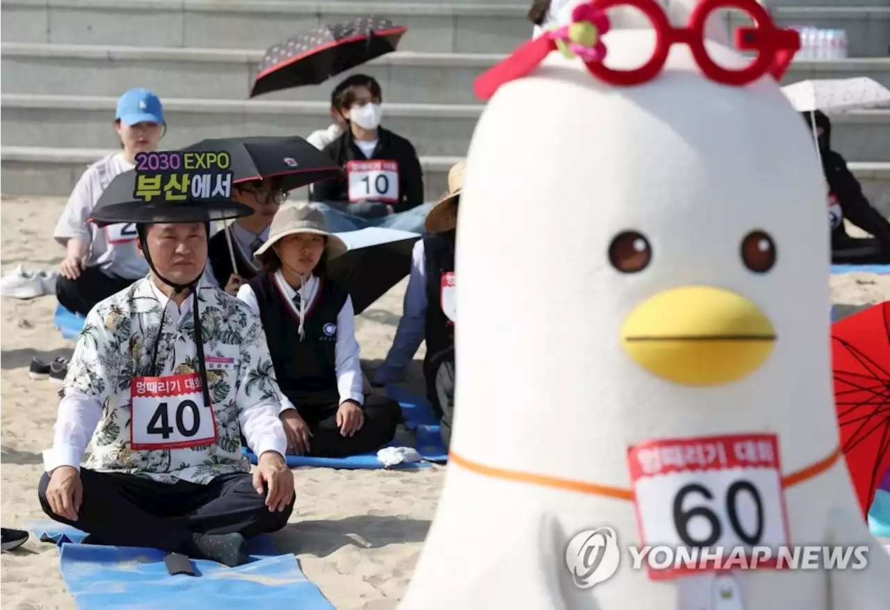 잔소리 대피한 아빠·스트레스 많은 고3…오늘은 해운대서 '멍' | 연합뉴스