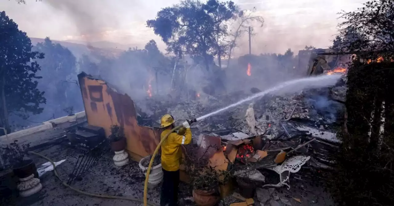 State Farm will no longer issue property insurance in California