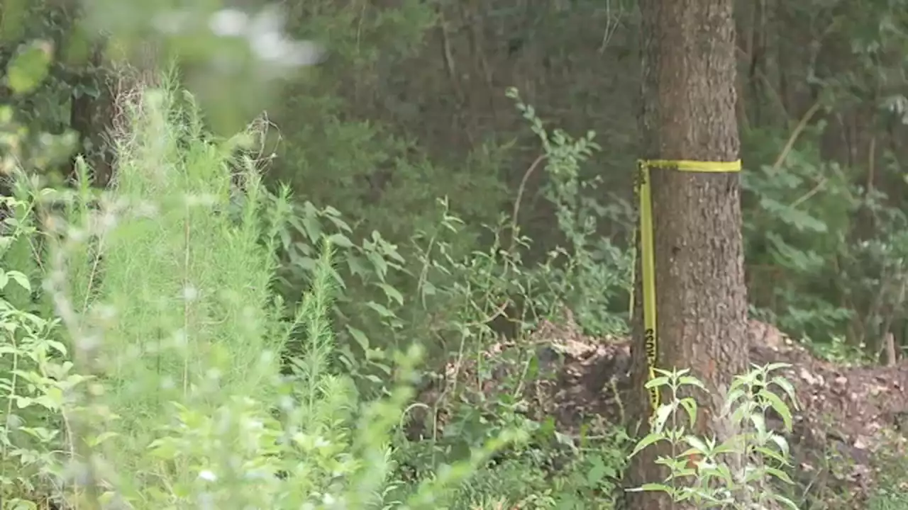 Homicide investigation underway after human skull found at Memorial Park, Houston police say