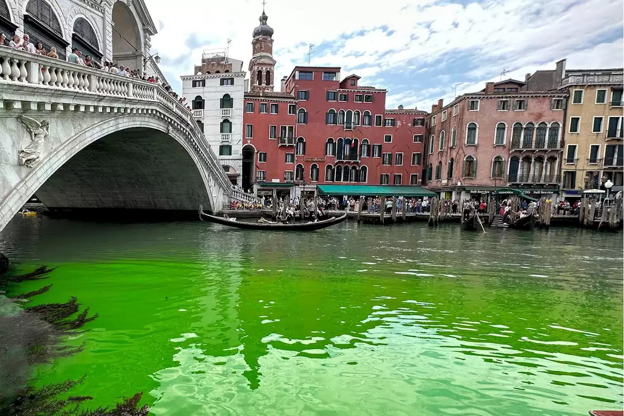 Venice authorities investigate after canal turns fluorescent green