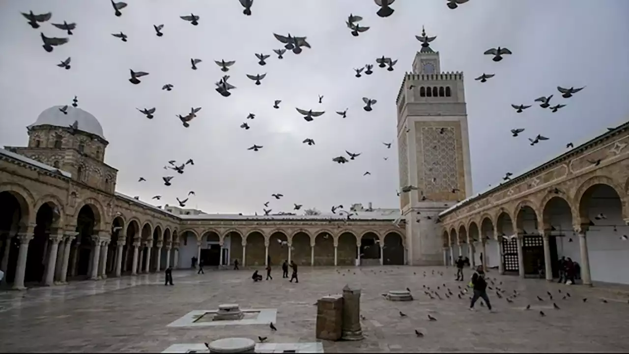 جريدة الرياض | تونس تضع خططا للتحكم في الطاقة في أكثر من ستة آلاف مسجد في البلاد