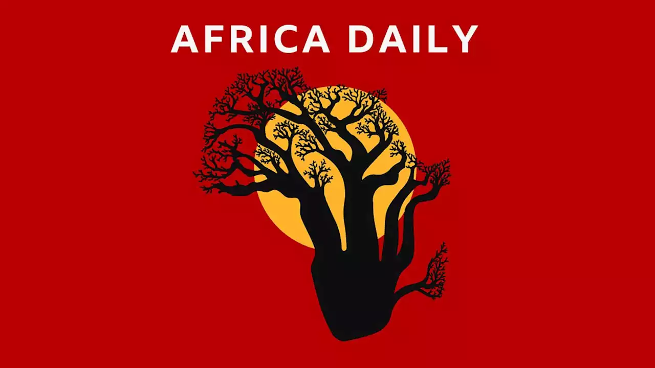 BBC World Service - Africa Daily, What does Russia want from Africa?