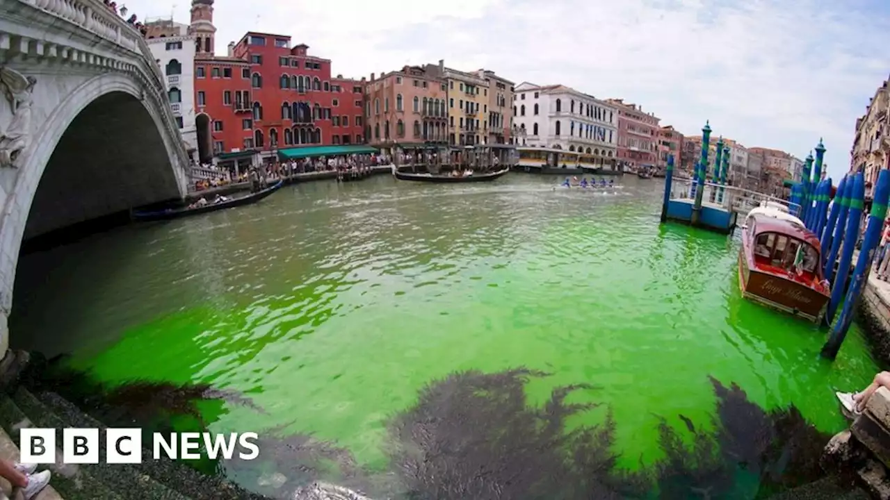 Venice canal mysteriously turns fluorescent green