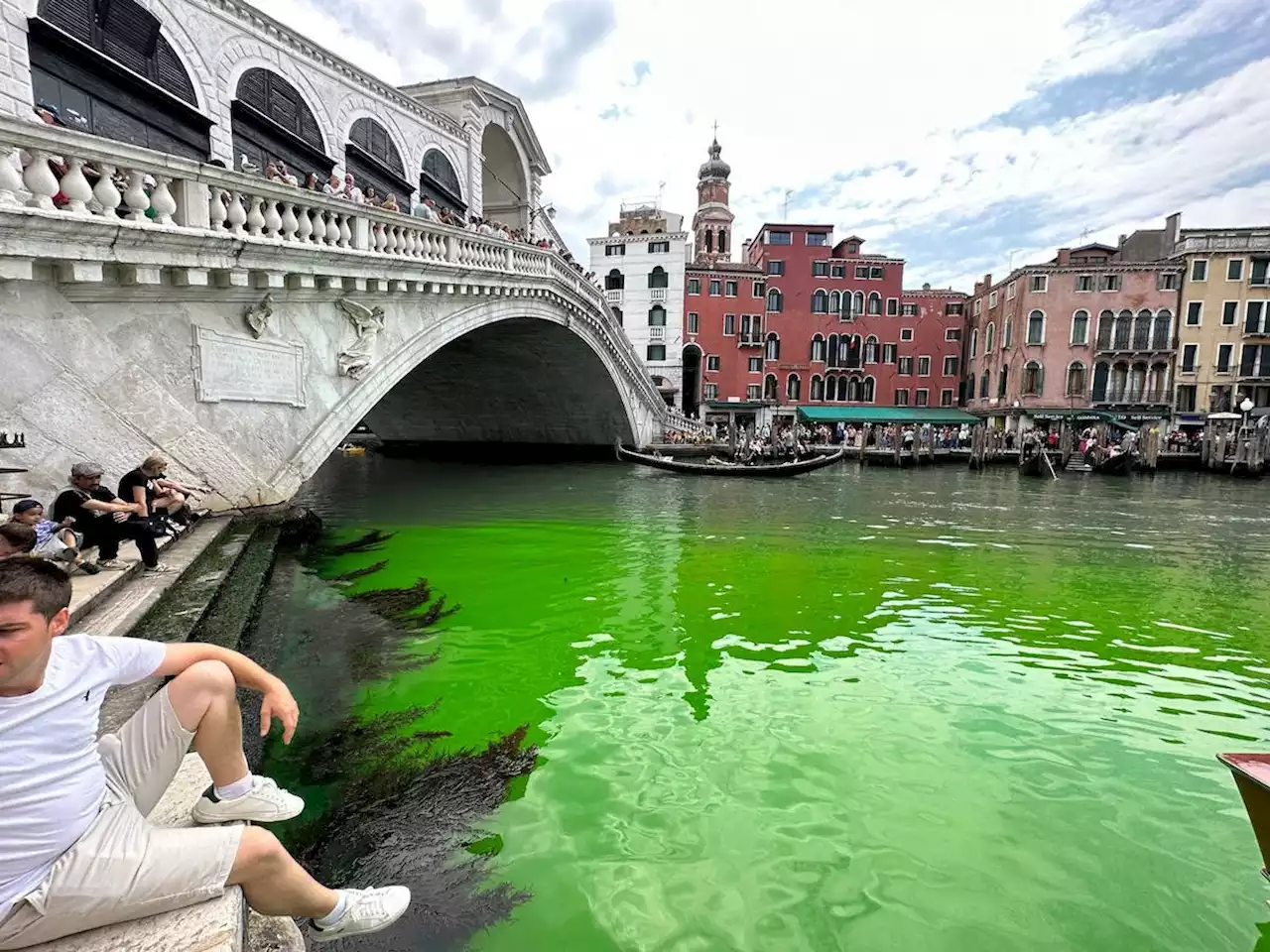 Rätselraten um grünen Canale Grande in Venedig