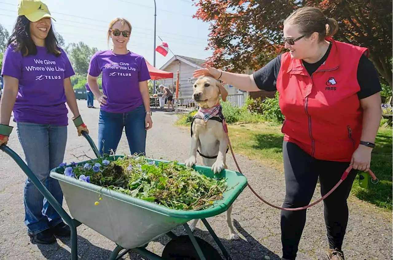 Telus donates $20K to Burnaby-based puppy society