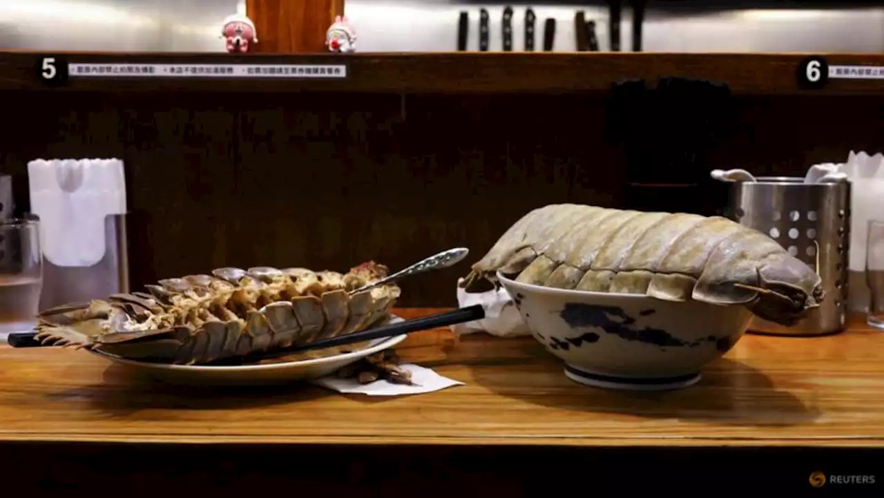 Taipei restaurant dishes up giant isopod noodles for adventurous patrons