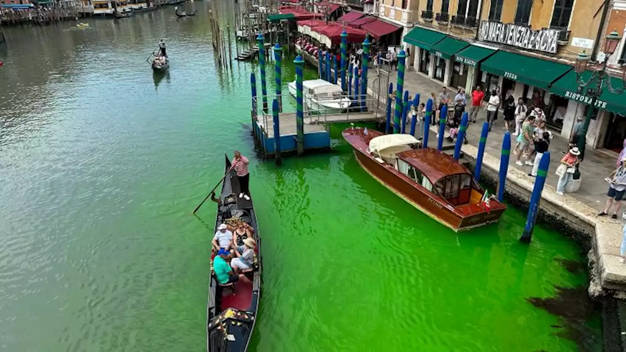 Venice authorities investigate after canal turns fluorescent green | CNN