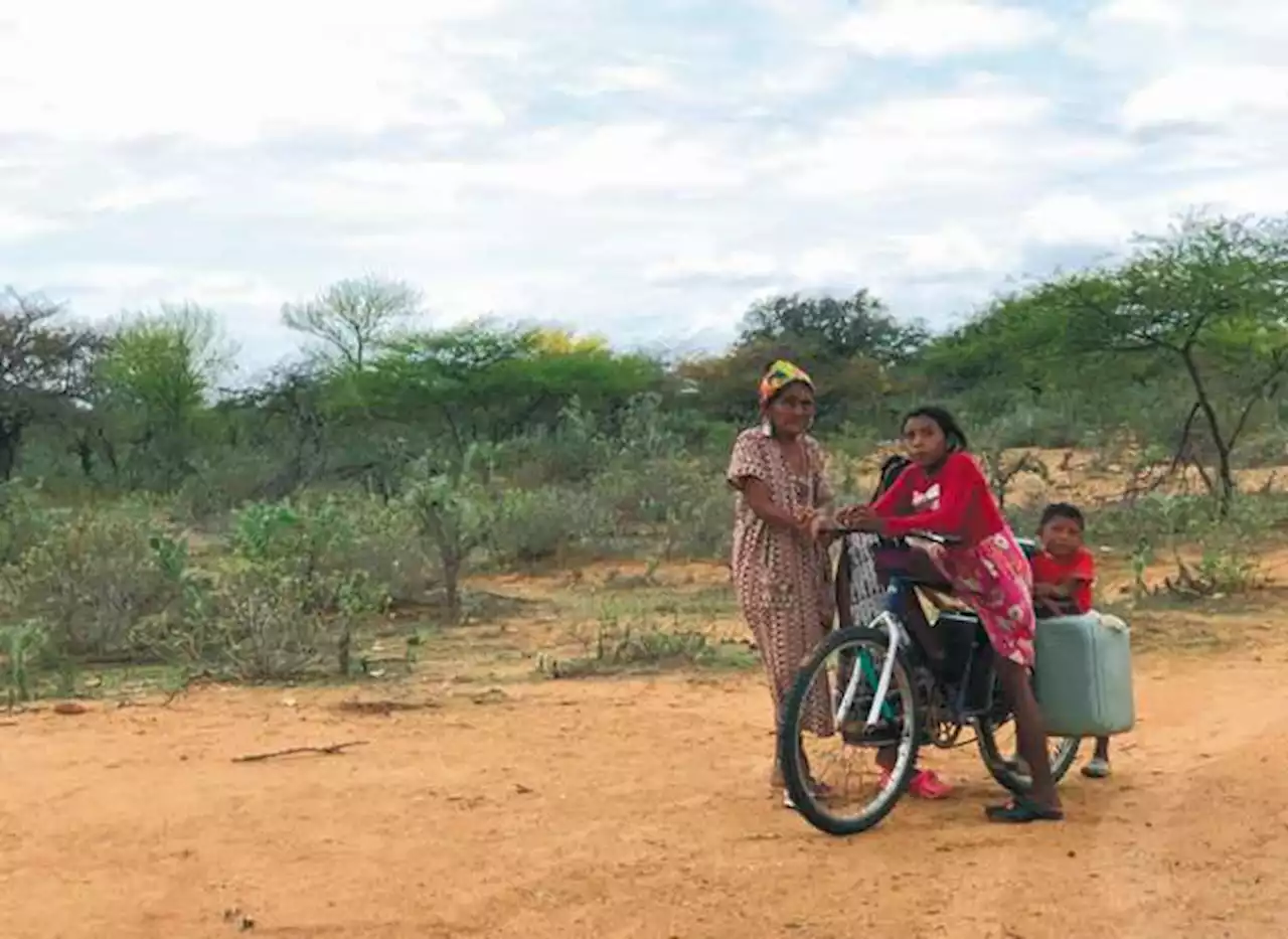 Crónica: el gota a gota que viola los derechos del pueblo wayuu