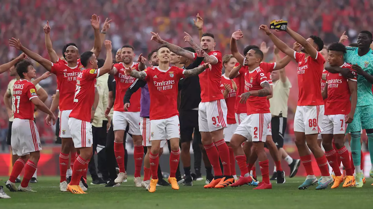 Le Benfica sacré champion du Portugal pour la 38e fois