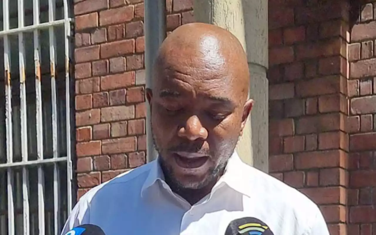 Maimane to open culpable homicide case against state after death of 3-year-old