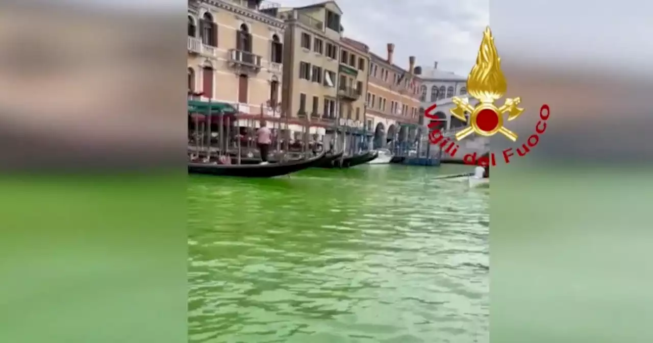 Chiazza verde nel Canal Grande di Venezia: 'Potrebbe trattarsi di un tracciante'. Ecco le immagini dei vigili del fuoco - Il Fatto Quotidiano