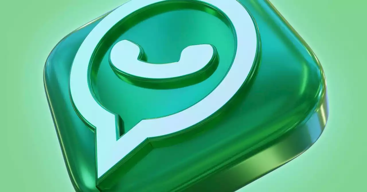 WhatsApp le dirá adiós a los números de teléfono: nueva forma para identificarse serán nombres de usuario