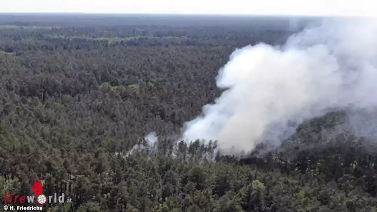 D: Erster Waldbrand 2023 beschäftigt über 120 Einsatzkräfte in der Region Gartow