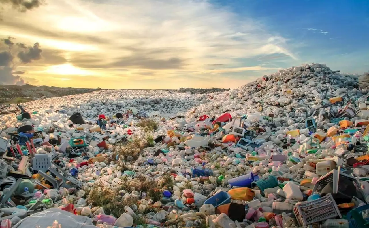 Henri Bourgeois-Costa : la pollution plastique, 'un enjeu à la hauteur de celui du réchauffement climatique'