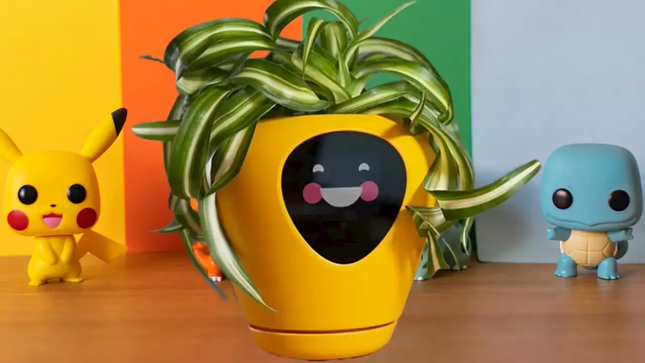 Dieser smarte Blumentopf macht Pflanzenpflege zum Kinderspiel - und ist wie ein Tamagotchi