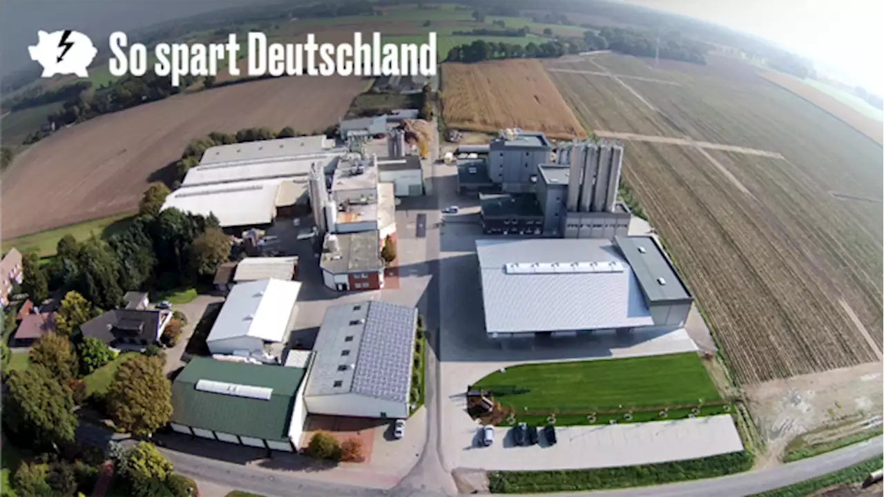 Serie: So spart Deutschland: Wie hohe Investitionen in Energieeffizienz die Holzmühle Westerkamp gerettet haben