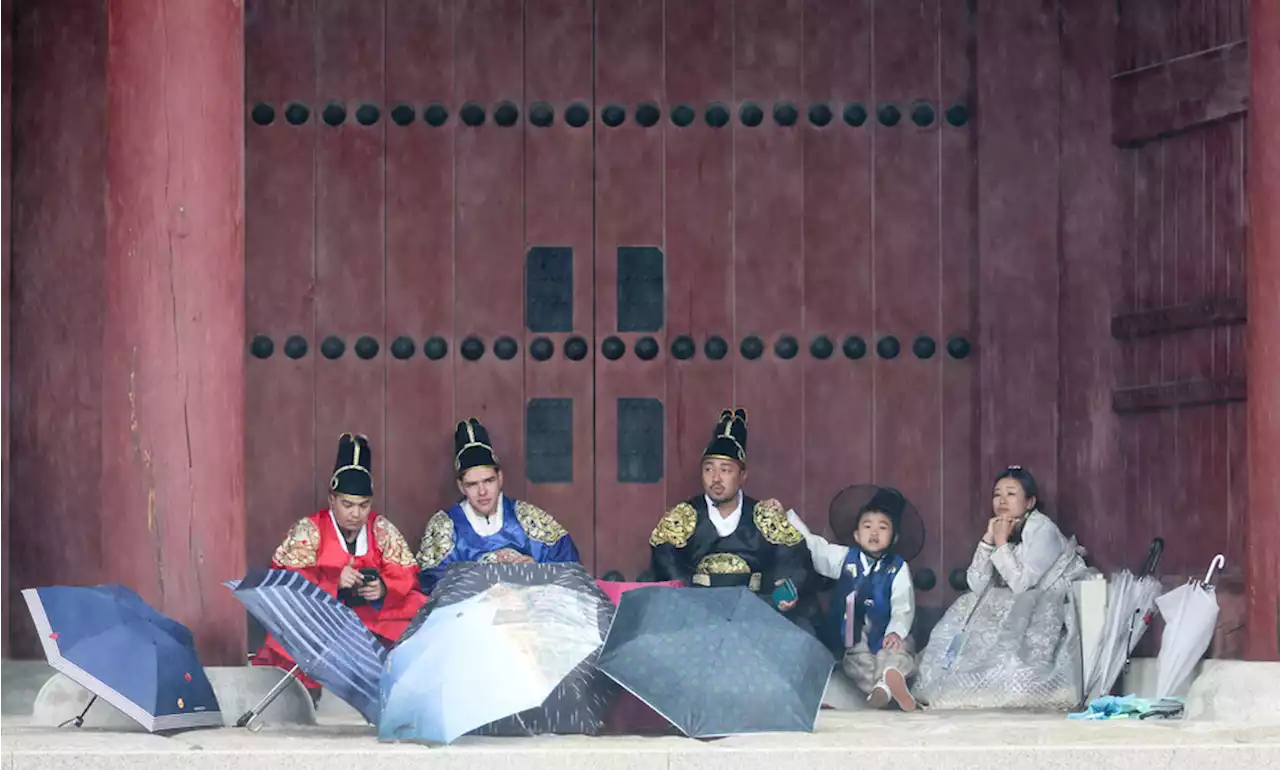 “여봐라, 비는 언제까지 오는가” [만리재사진첩]