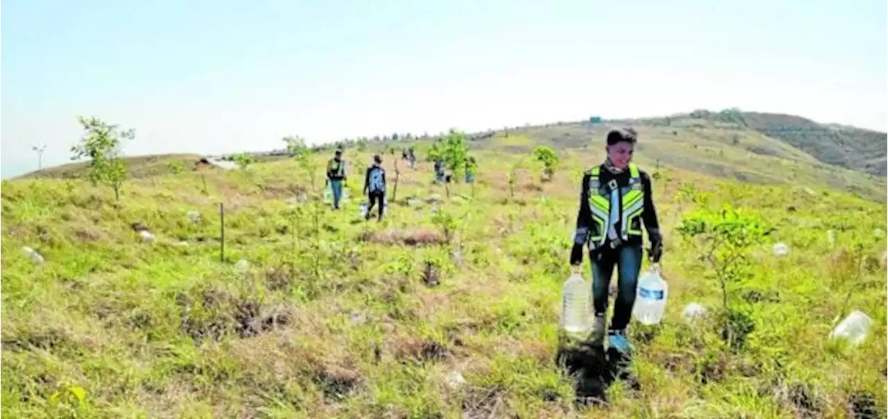 In Pangasinan, volunteers spread love for native trees