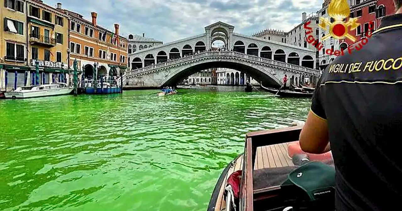 Venice canal turn fluorescent green near Rialto Bridge