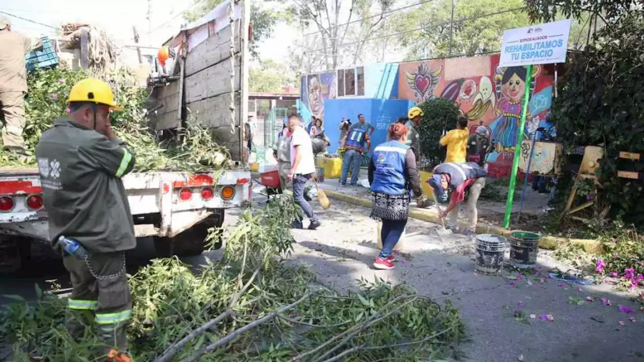 Juntos podemos hacer de Álvaro Obregón el mejor lugar para vivir: Lía Limón