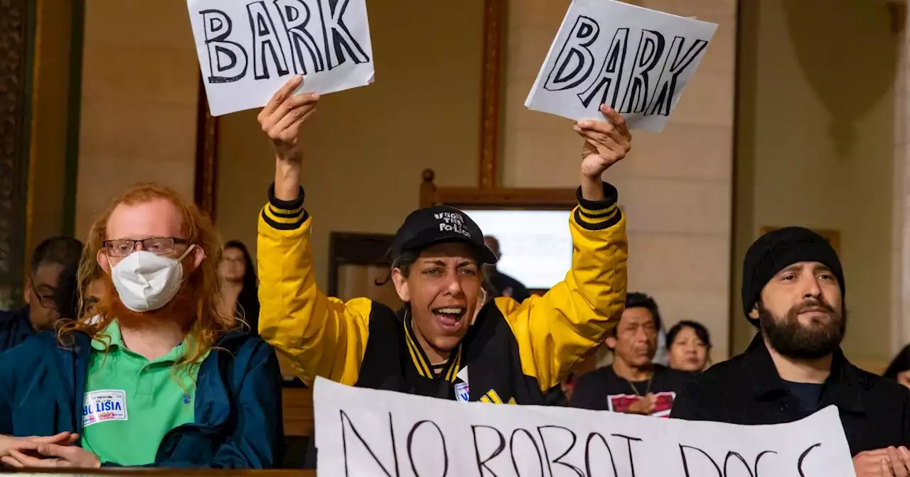 City Hall protester is arrested for allegedly assaulting man outside council chamber