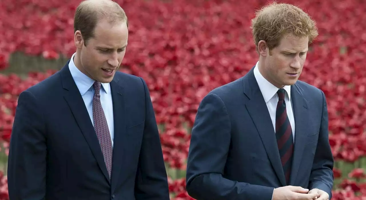 Harry e William, l'incontro segreto con il maggiordomo di Lady D: la rivelazione sulle volontà della loro mamma