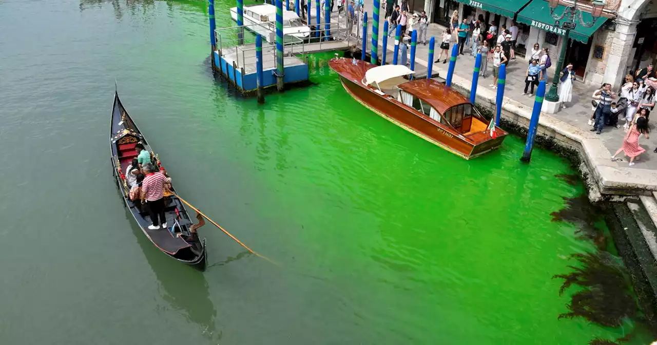 Venise : un tronçon du Grand Canal vire au vert fluorescent