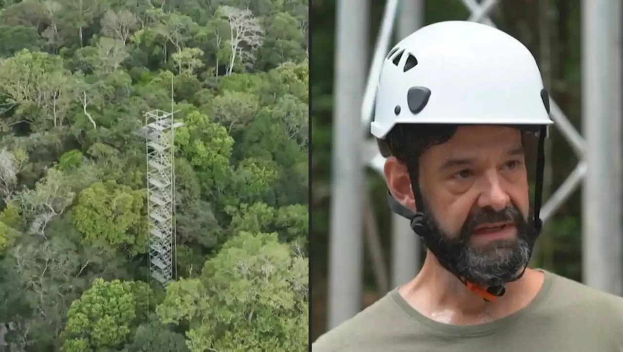 Au Brésil, des experts simulent l'avenir de l'Amazonie face au réchauffement climatique