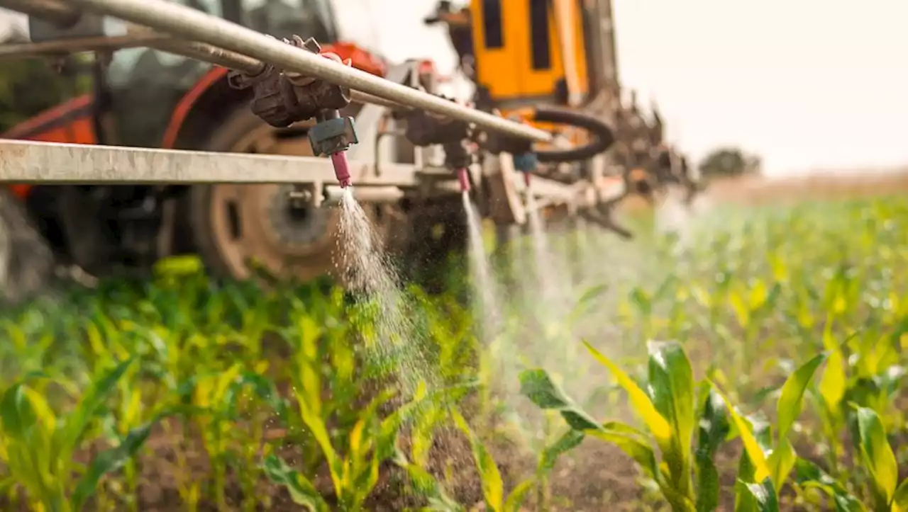 Environnement : les pesticides restent plus longtemps que prévu dans les sols français révèle une étude