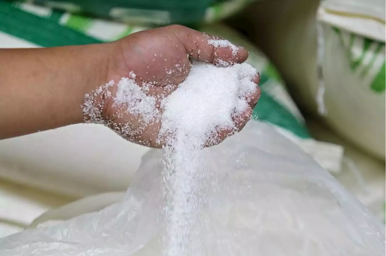 New, costly sugar won’t cause prices to soar, say F&B groups | The Malaysian Insight