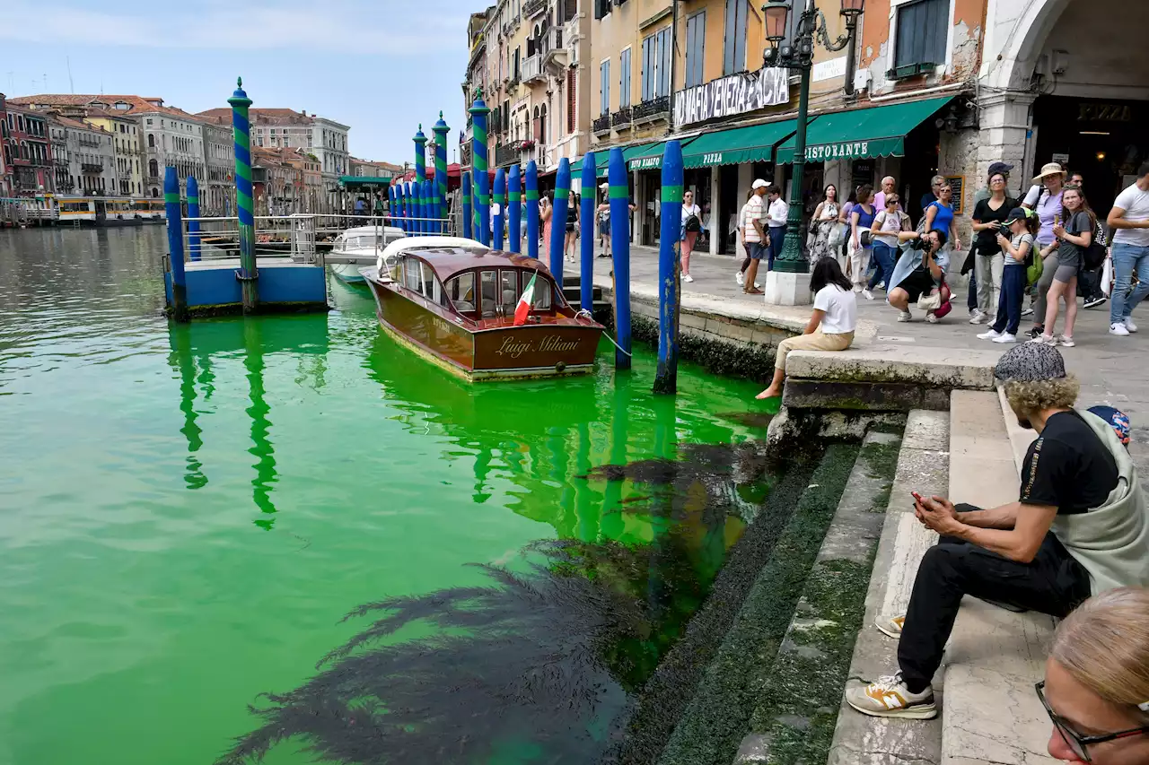 Venice Police Investigate Bright Green Liquid in Grand Canal