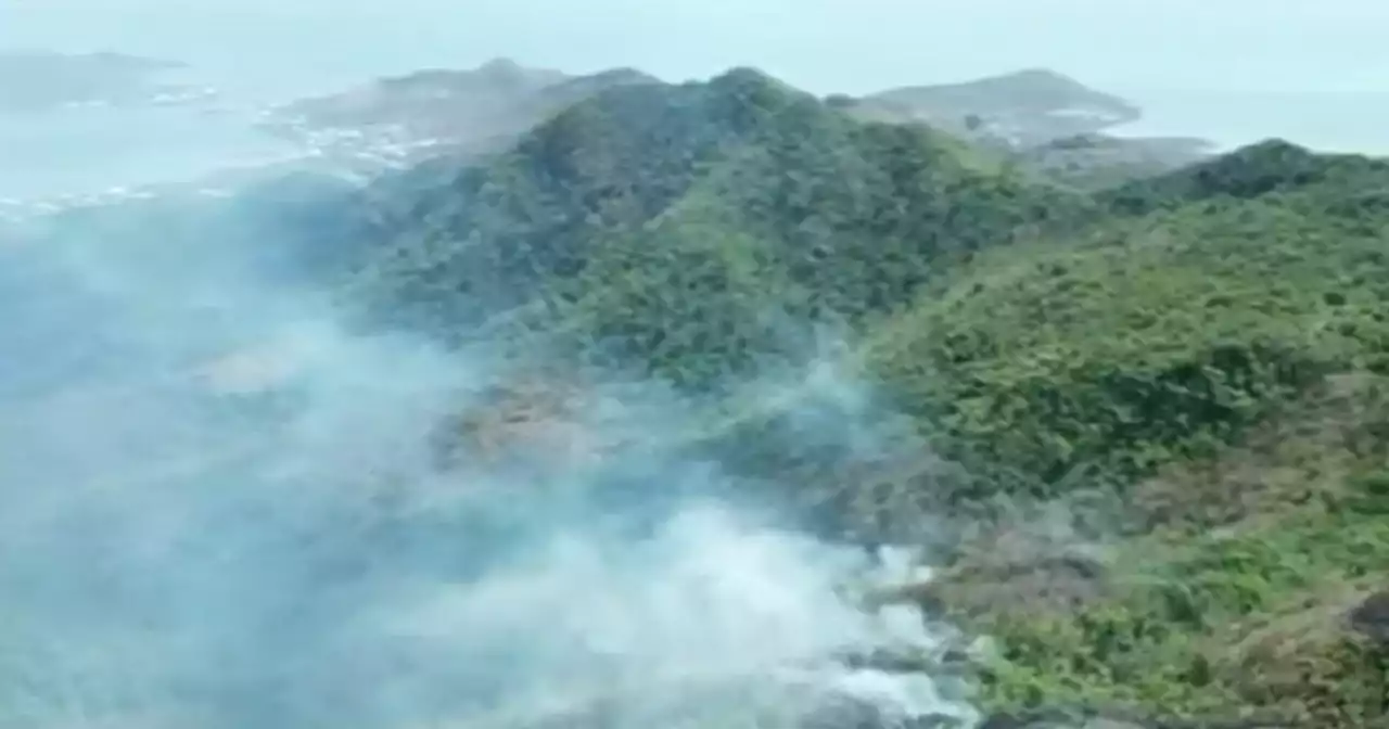 Providencia lanza SOS por incendio forestal que ha arrasado más de 10 hectáreas de bosque