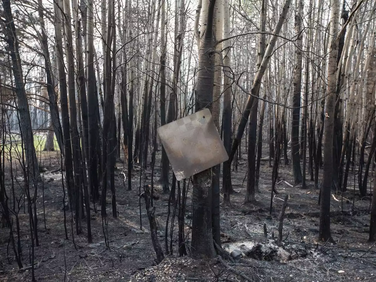 Drying conditions return in Alberta, crews see more intense fire activity