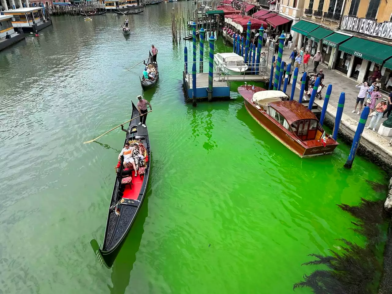 Venice police investigate bright green liquid on surface of Grand Canal