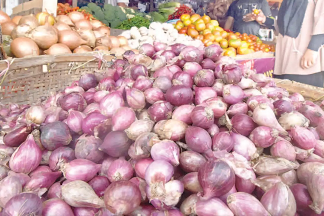 Produksi Bawang Merah Terus Meningkat, Cirebon Diklaim Akan Jadi Penyumbang Terbanyak di Jabar