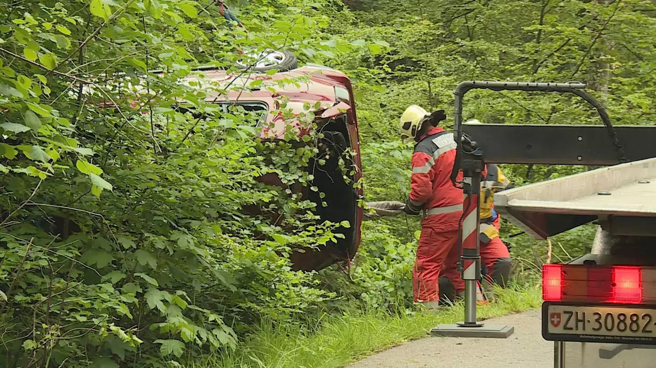 Elgg ZH: Auto landet in den Bäumen (Video)