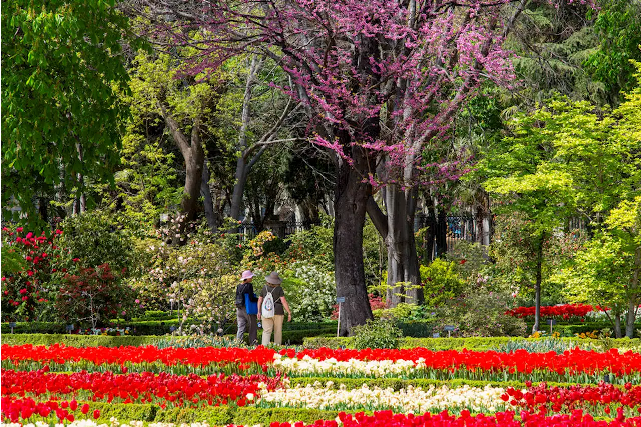 Los jardines de flores más bonitos de España