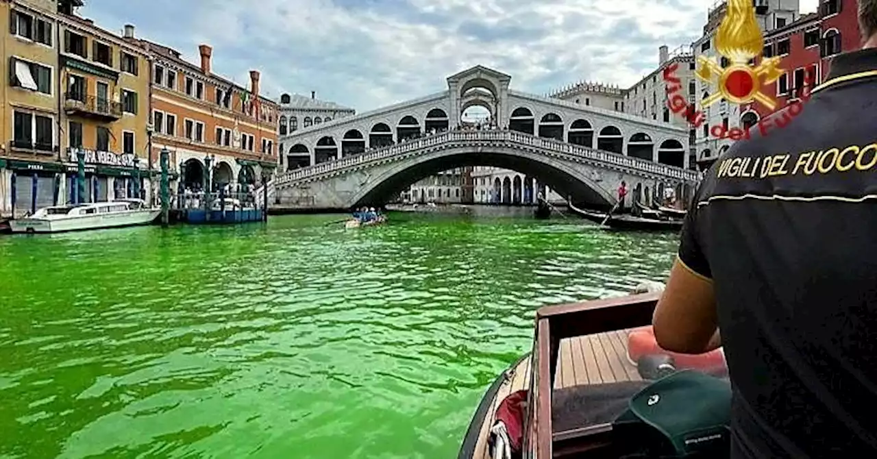 Venice's waters turn fluorescent green near Rialto Bridge