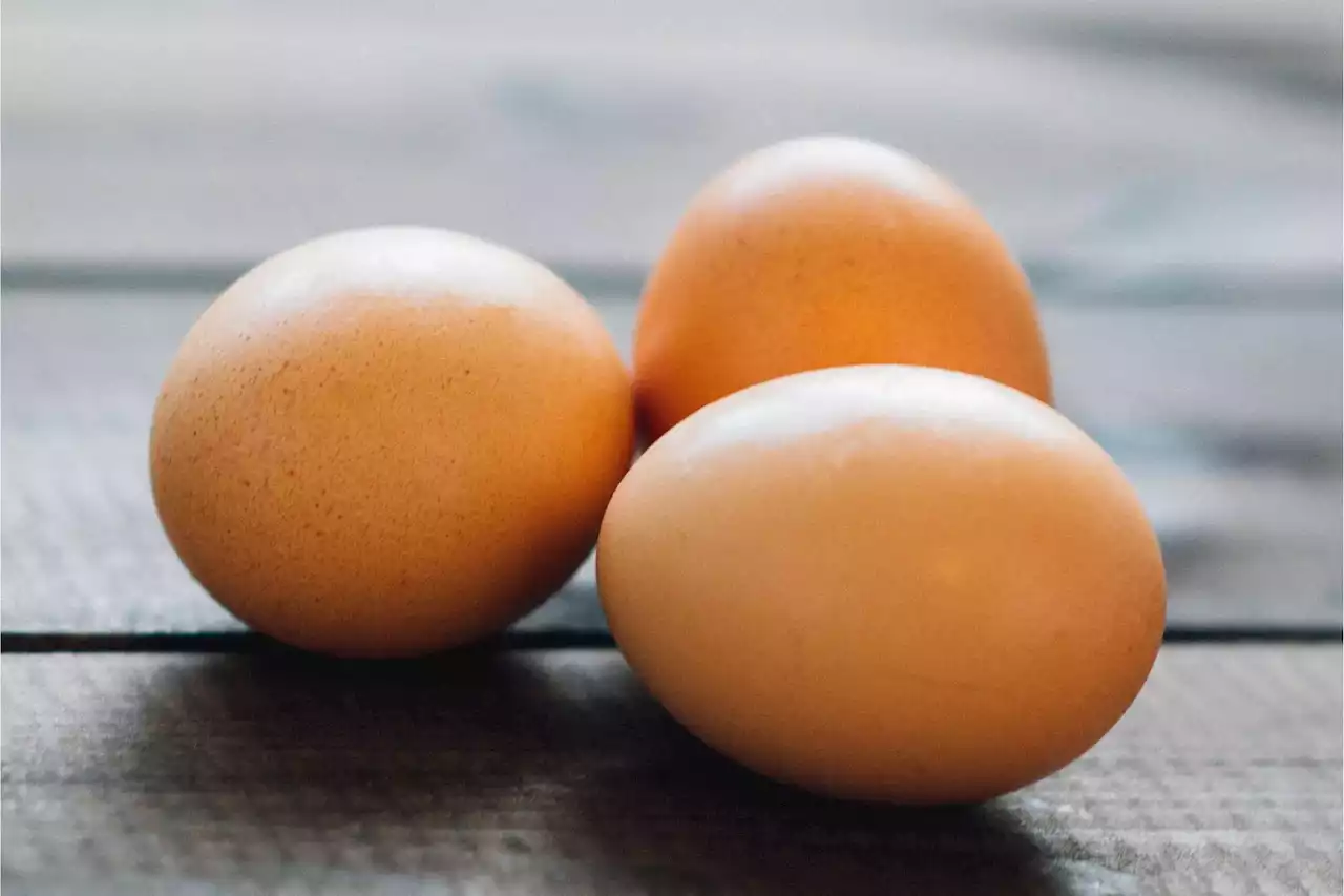 Egg-Citing Breakthrough: Scientists Develop Allergy-Free Eggs