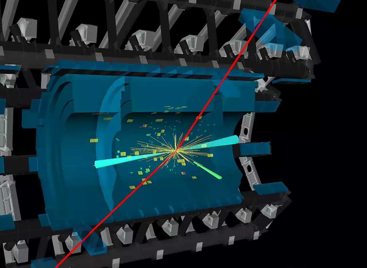 Higgs Boson Unveils New Secrets: Rare Decay Detected at Large Hadron Collider