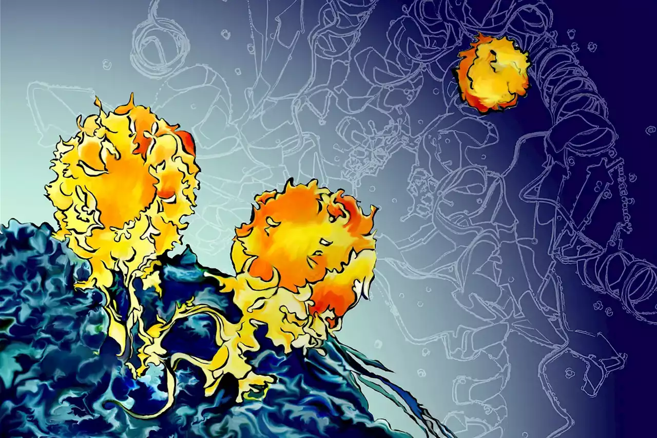 STING Like a Bee: MIT’s Revolutionary Approach to Cancer Immunotherapy