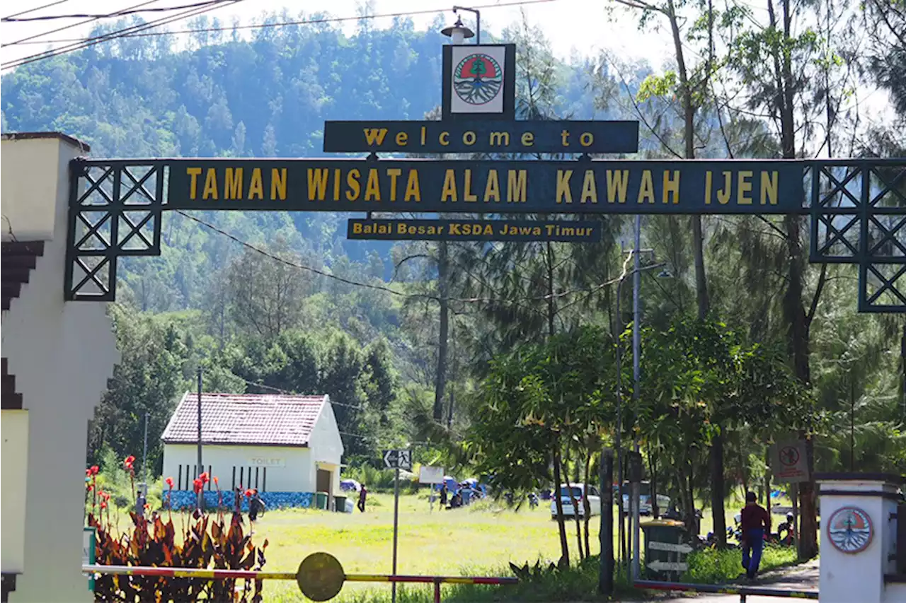 Pesona Desa Wisata Taman Sari Banyuwangi, Lokasi Singgah Wisatawan Menuju Kawah Ijen