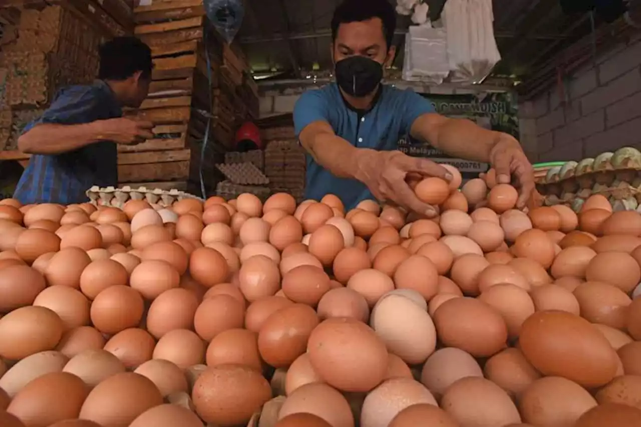 Siap-siap Bunda! Bukan Cuma Harga Telur, Efek El Nino Berefek ke Pangan Lain