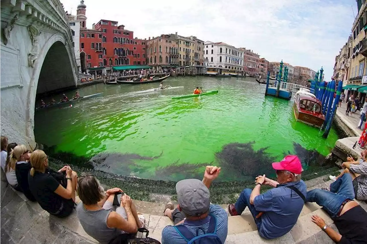 Venice's Grand Canal turns phosphorescent green