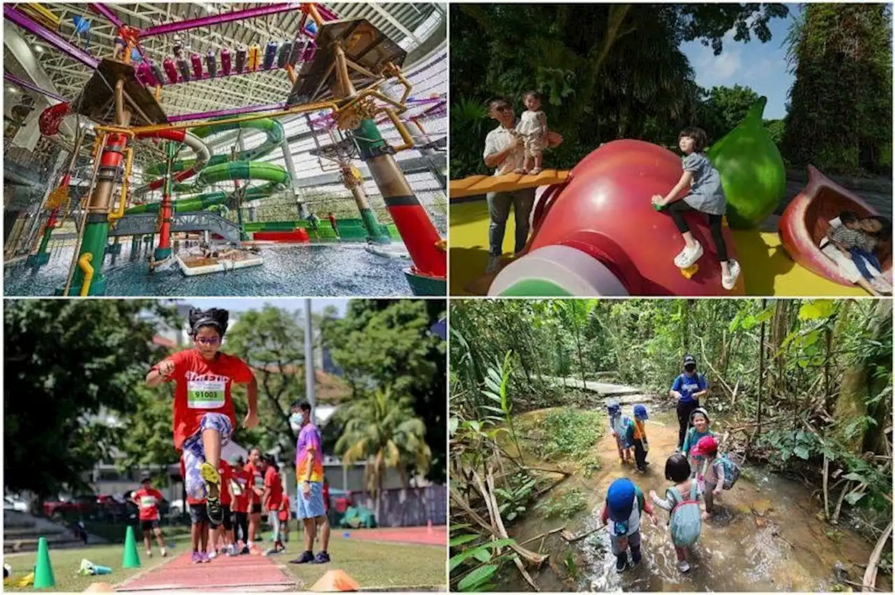 June school holidays: New water park, nature camps, Children’s Festival and more