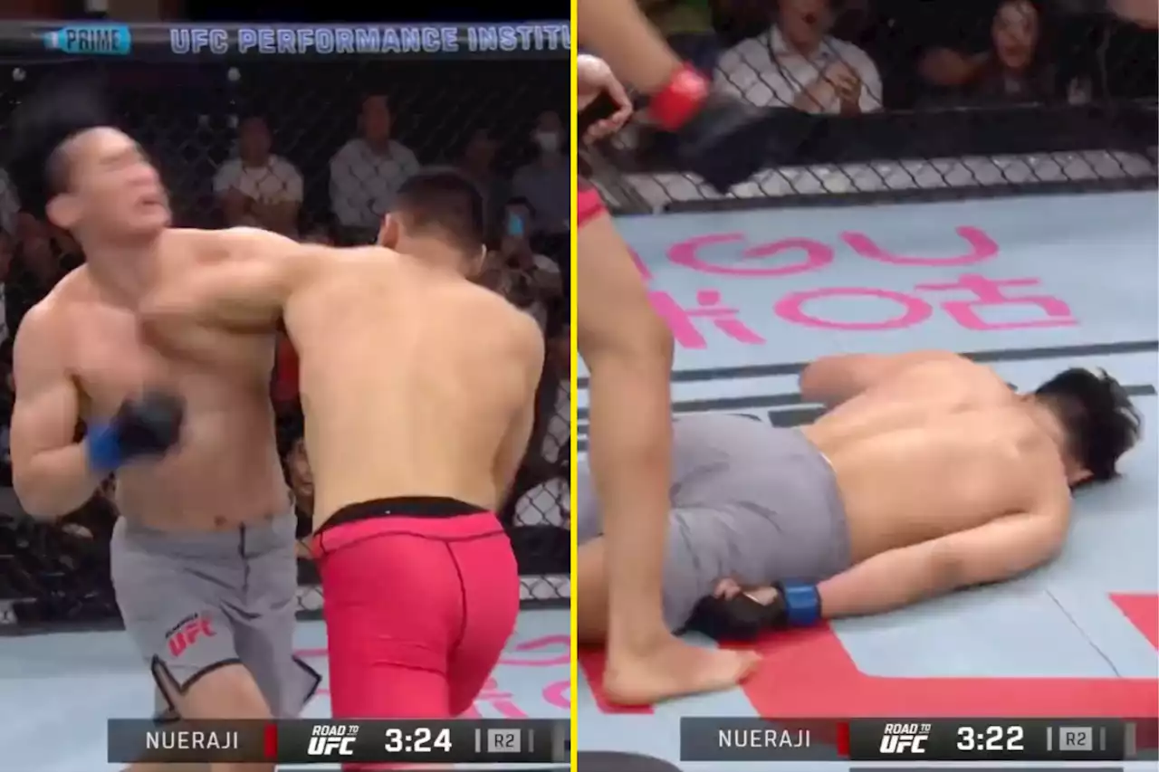 UFC fighter immobilises opponent with thunderous elbow KO