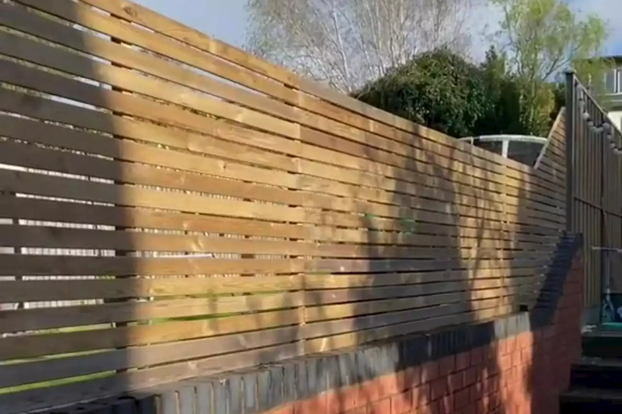 I created my very own DIY privacy fence but it's totally divided opinion