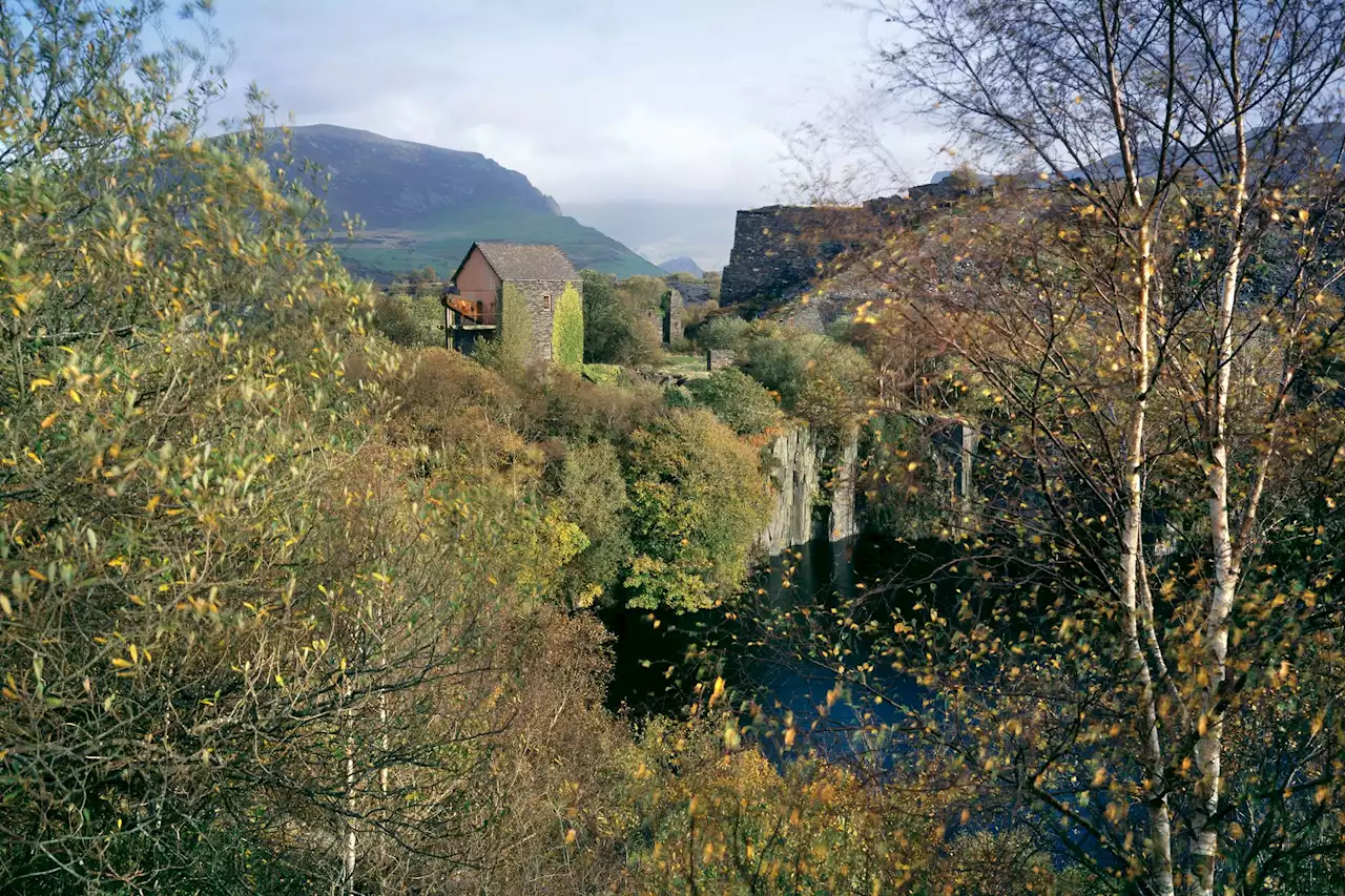 Inside forgotten village after being reclaimed by nature