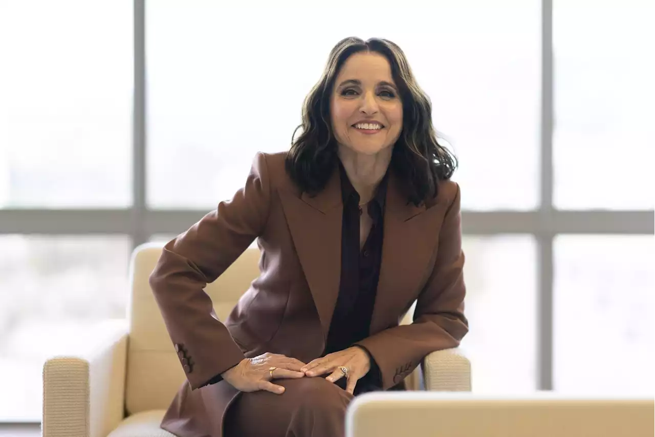 Cringe comedy: Julia Louis-Dreyfus talks 'You Hurt My Feelings' and reveals what she thought of the 'Seinfeld' finale